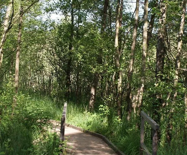 Gaestehaus Wuehrer Apartmán Franking