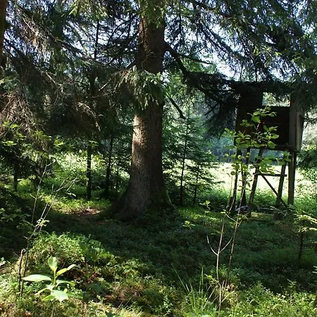 Gaestehaus Wuehrer Appartement Franking