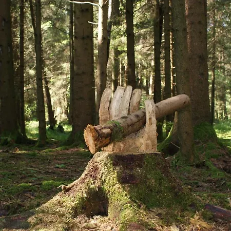 Gaestehaus Wuehrer Appartement Franking