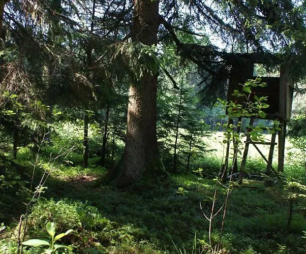 Gaestehaus Wuehrer شقة Franking