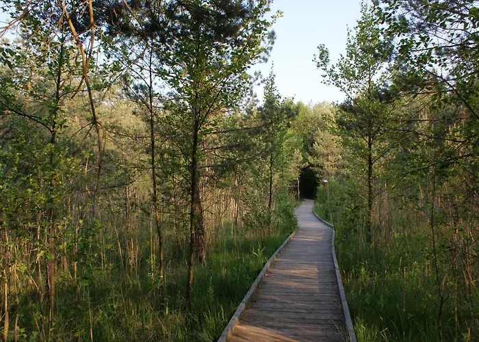 شقة Gaestehaus Wuehrer Franking